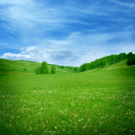 Meadow-shutterstock_74701933