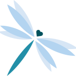 Dragonfly_transparent