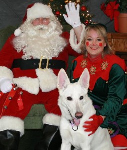 Dog pictures with Santa