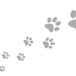 paw_prints_grey